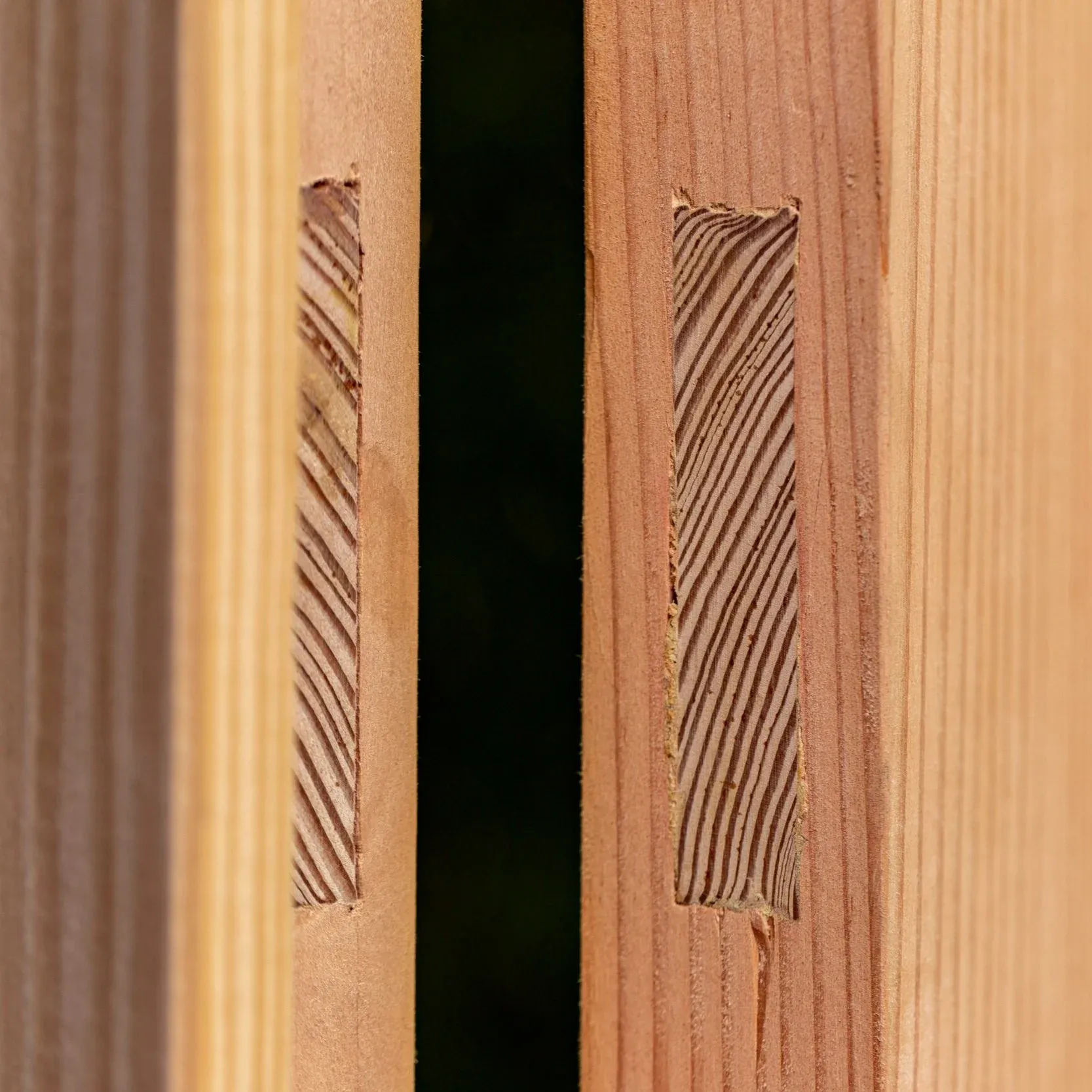 KD Holzbau